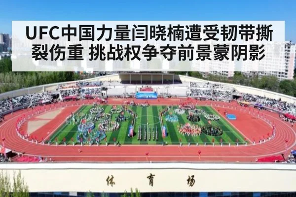 UFC中国力量闫晓楠遭受韧带撕裂伤重 挑战权争夺前景蒙阴影
